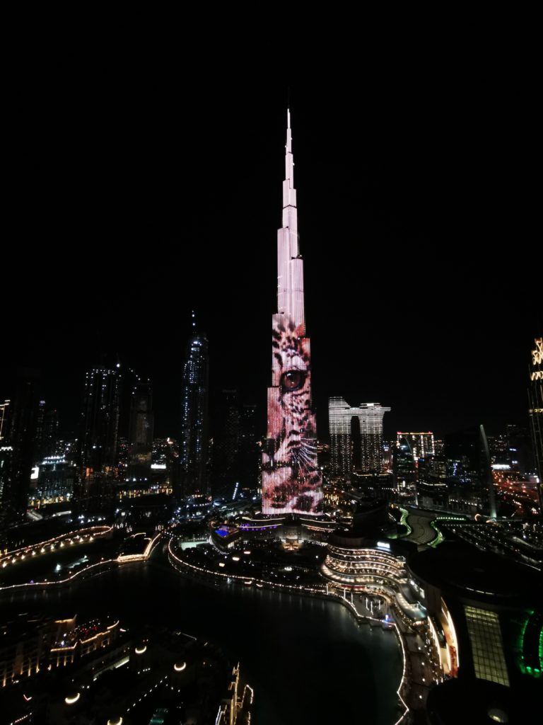 Burj Khalifa And Saudi EXPO Pavilion Lit Up To Mark The First-Ever ...